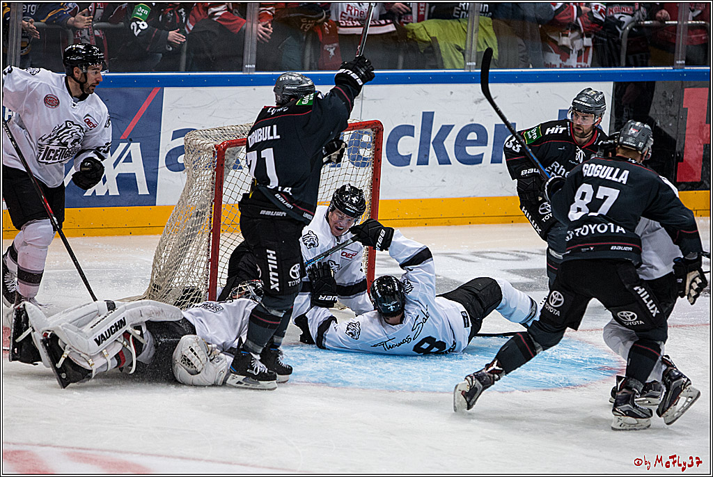 DEL, Koelner Haie - Nuernberg Ice Tiger, 24.01.2017